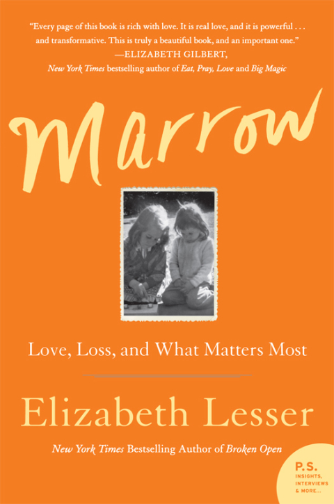 Cover image for book Marrow