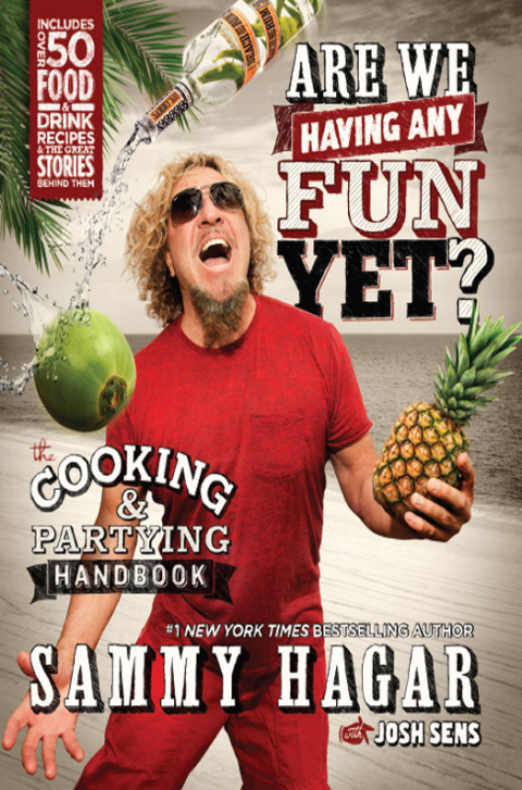 Cover image for book Are We Having Any Fun Yet?