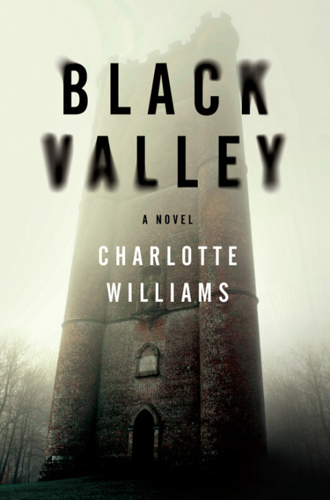 Cover image for book Black Valley