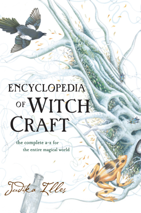 Cover image for book Encyclopedia of Witchcraft