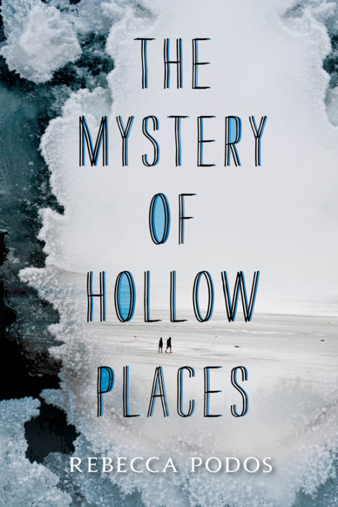 Cover image for book The Mystery of Hollow Places