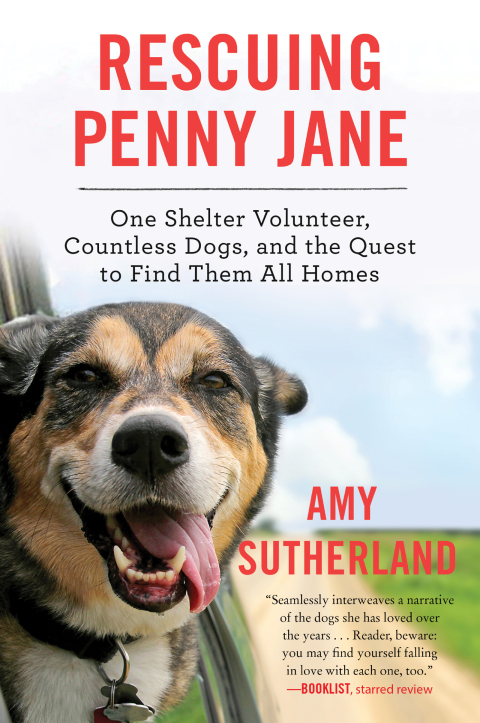 Cover image for book Rescuing Penny Jane