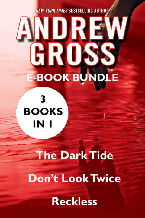 Cover image for book The Andrew Gross
