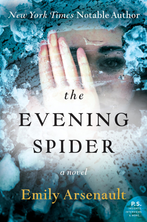 Cover image for book The Evening Spider