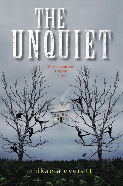 Cover image for book The Unquiet