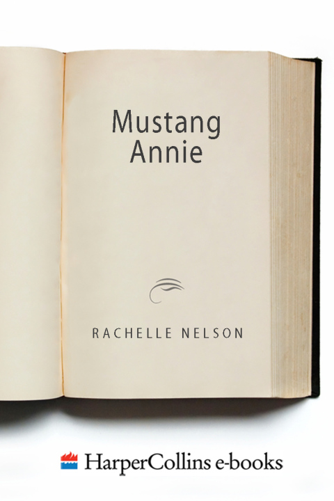 Cover image for book Mustang Annie