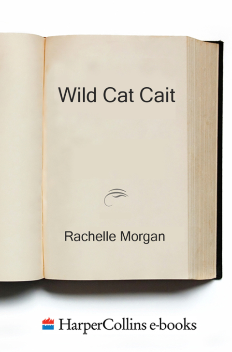 Cover image for book Wild Cat Cait