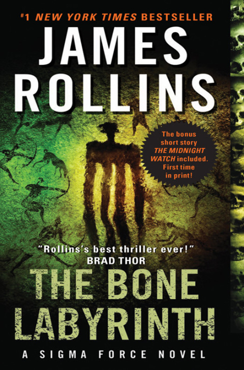Cover image for book The Bone Labyrinth