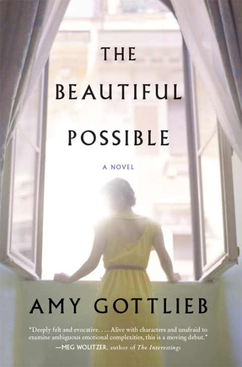 Cover image for book The Beautiful Possible