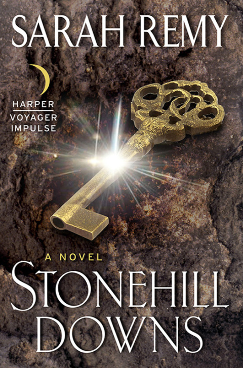 Cover image for book Stonehill Downs