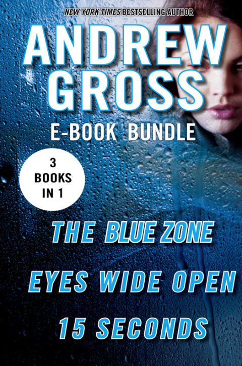 Cover image for book The Andrew Gross Thriller