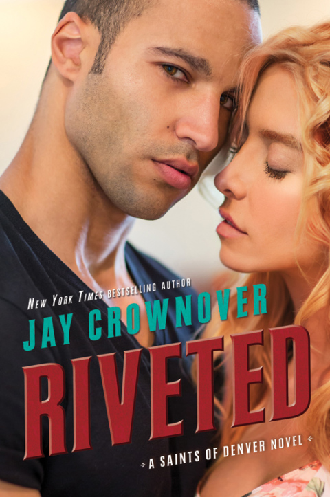 Cover image for book Riveted