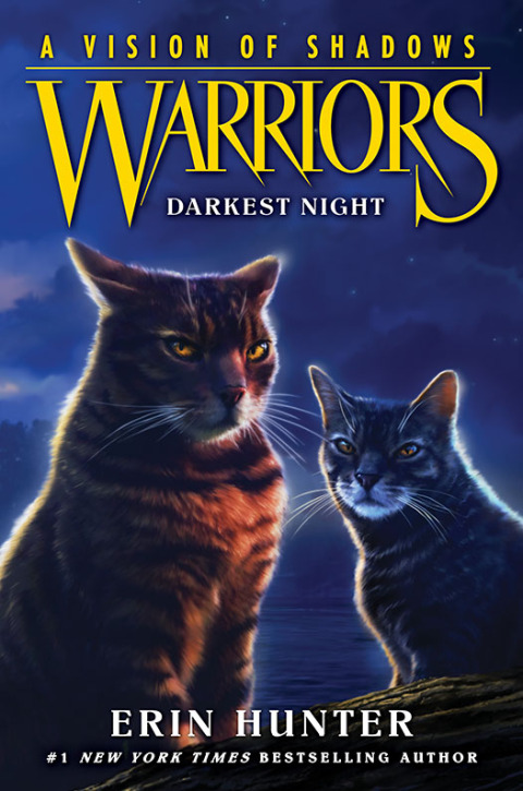 Cover image for book Warriors: A Vision of Shadows #4: Darkest Night