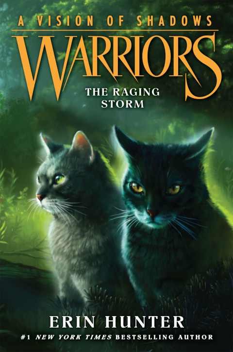 Cover image for book Warriors: A Vision of Shadows #6: The Raging Storm