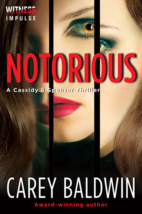Cover image for book Notorious