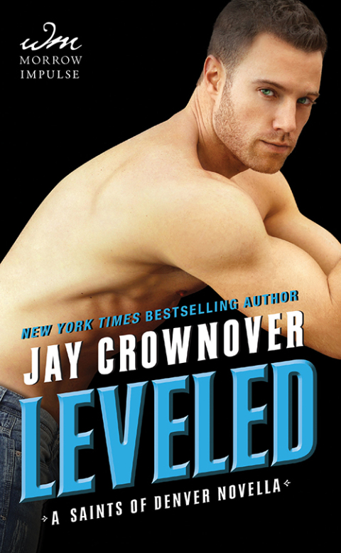 Cover image for book Leveled