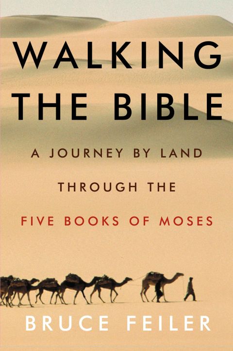 Cover image for book Walking the Bible