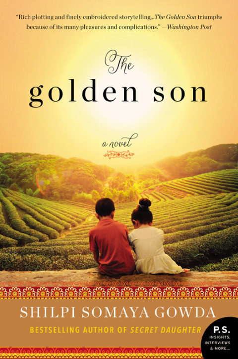 Cover image for book The Golden Son