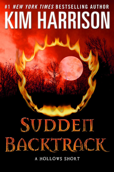 Cover image for book Sudden Backtrack