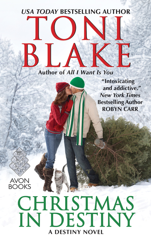 Cover image for book Christmas in Destiny