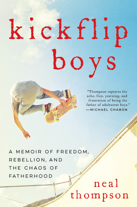 Cover image for book Kickflip Boys