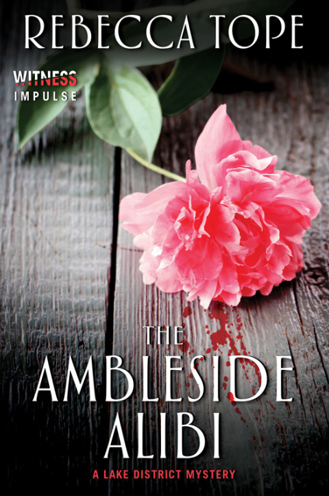 Cover image for book The Ambleside Alibi