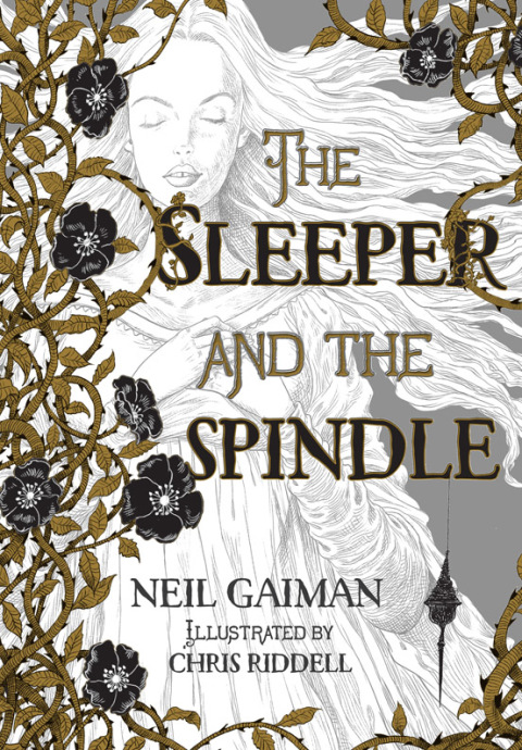 Cover image for book The Sleeper and the Spindle