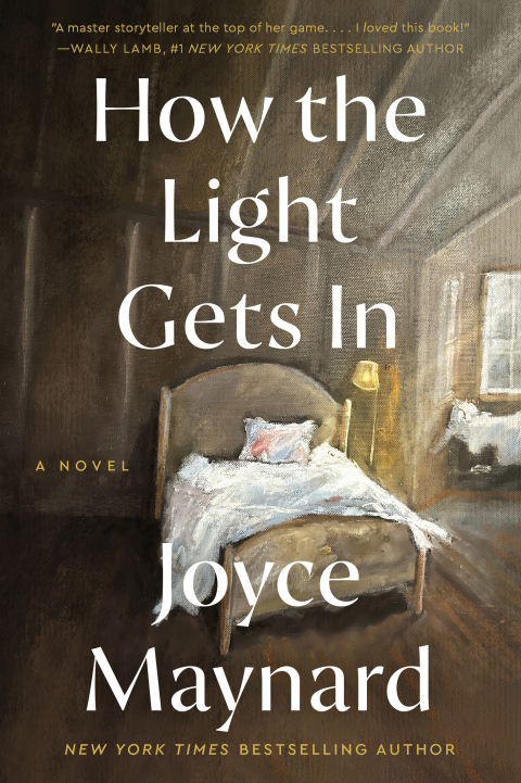 Cover image for book How the Light Gets In