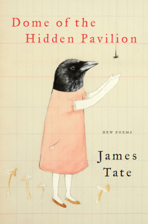 Cover image for book Dome of the Hidden Pavilion