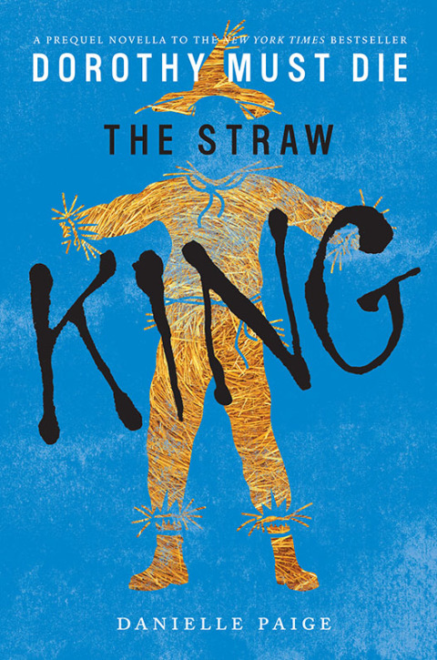 Cover image for book The Straw King