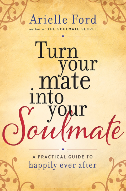 Cover image for book Turn Your Mate into Your Soulmate