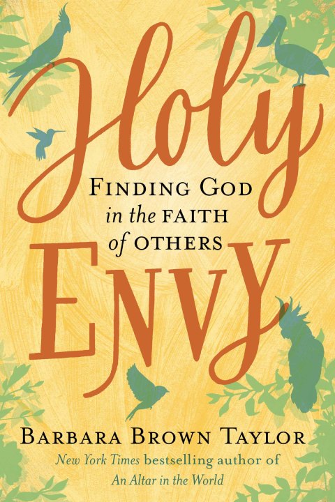 Cover image for book Holy Envy