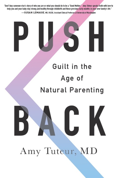 Cover image for book Push Back