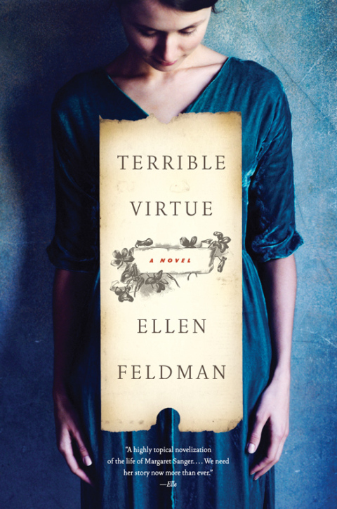 Cover image for book Terrible Virtue