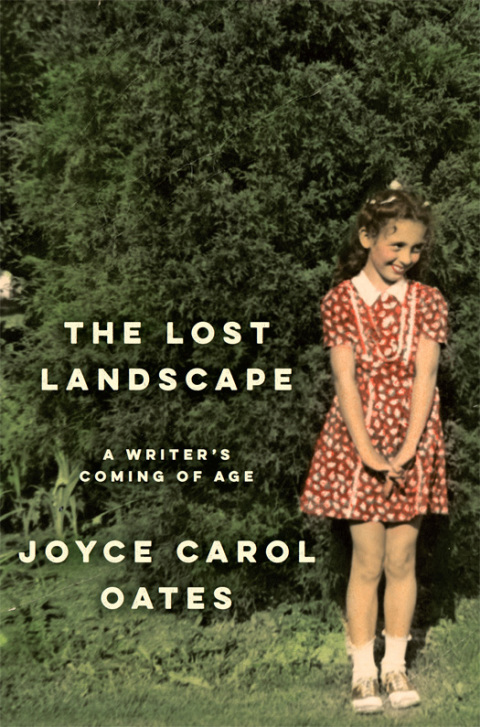 Cover image for book The Lost Landscape
