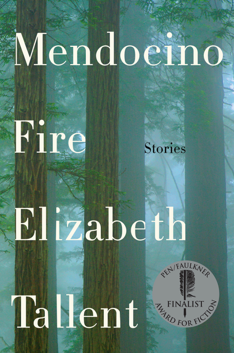 Cover image for book Mendocino Fire
