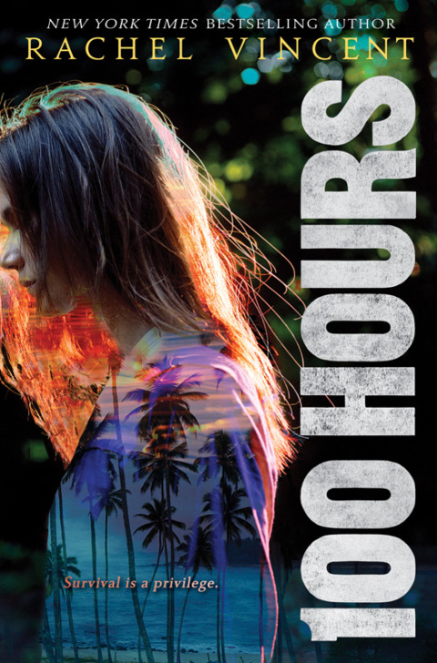 Cover image for book 100 Hours