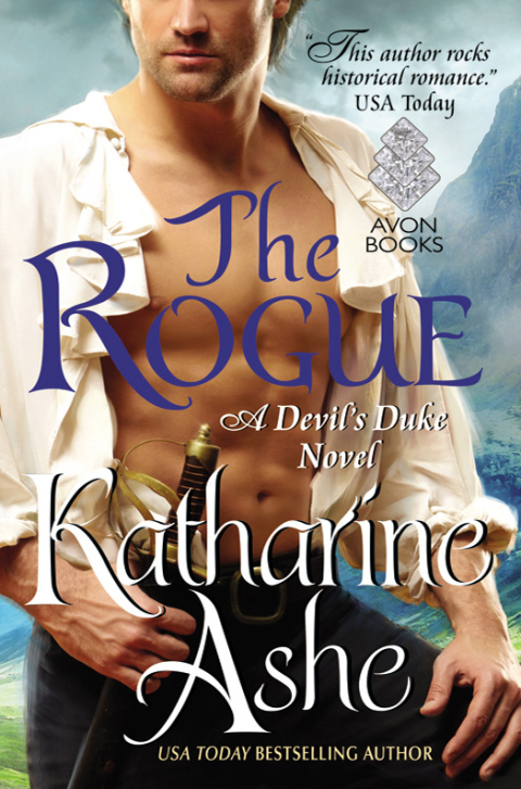 Cover image for book The Rogue