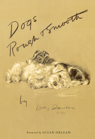 Dogs Rough and Smooth