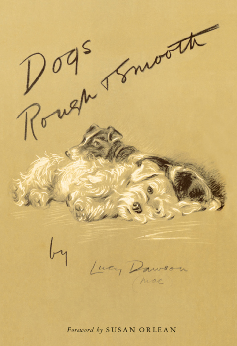 Cover image for book Dogs Rough and Smooth