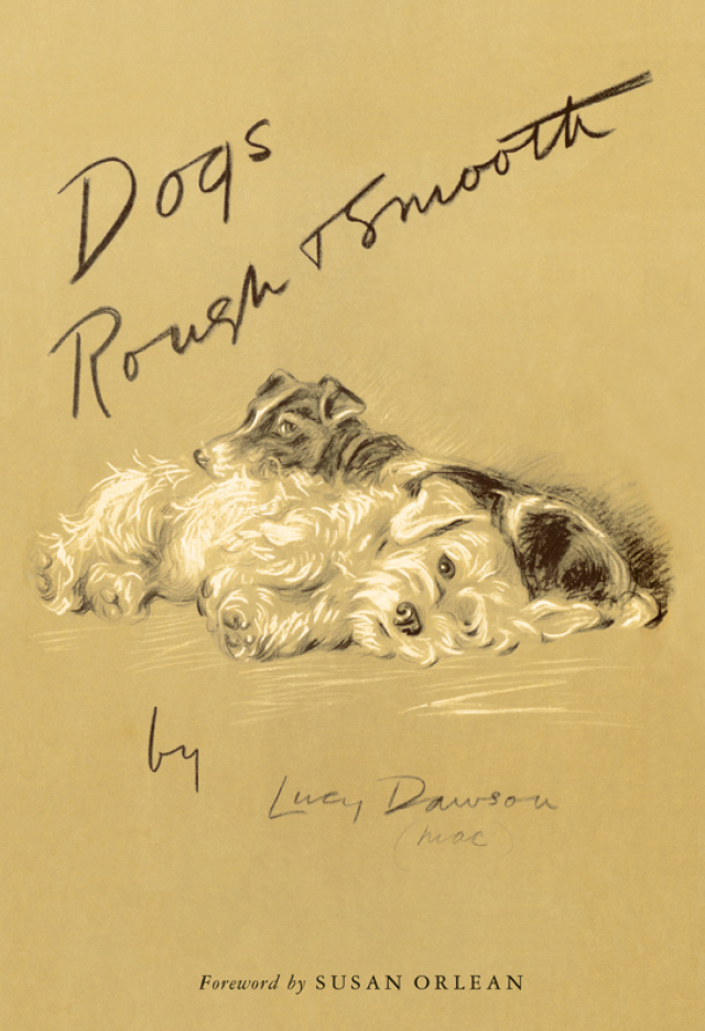 Dogs Rough and Smooth