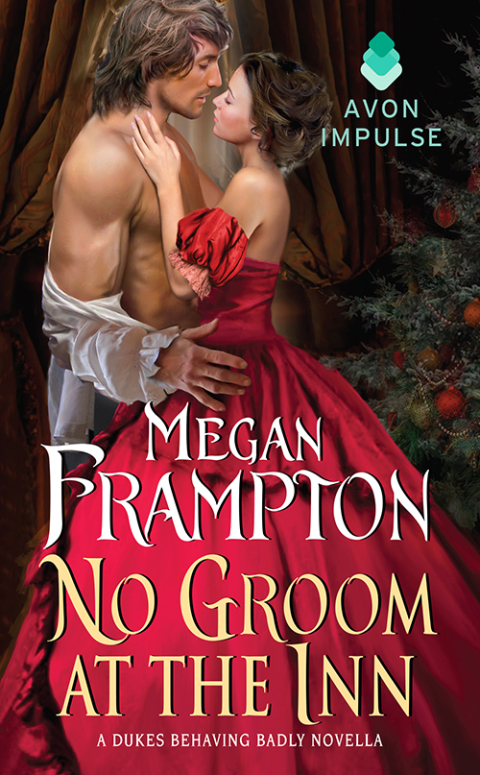 Cover image for book No Groom at the Inn