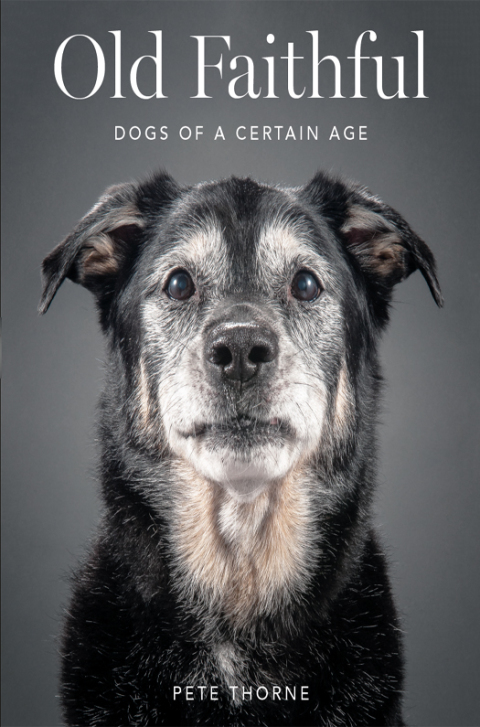 Cover image for book Old Faithful