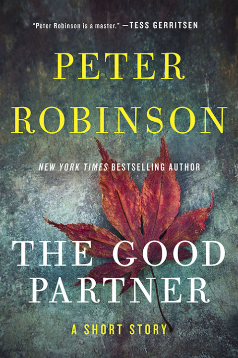 Cover image for book The Good Partner