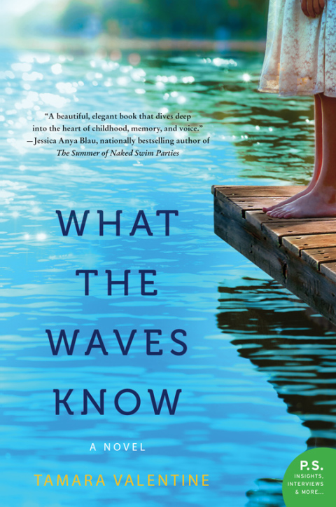 Cover image for book What the Waves Know