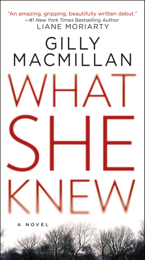 Cover image for book What She Knew