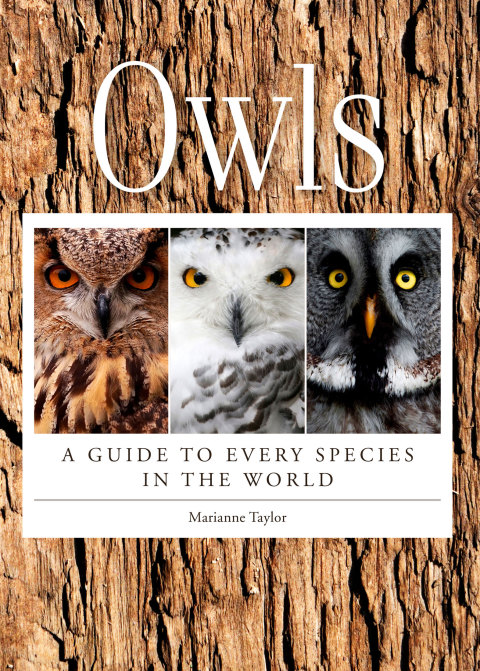Cover image for book Owls