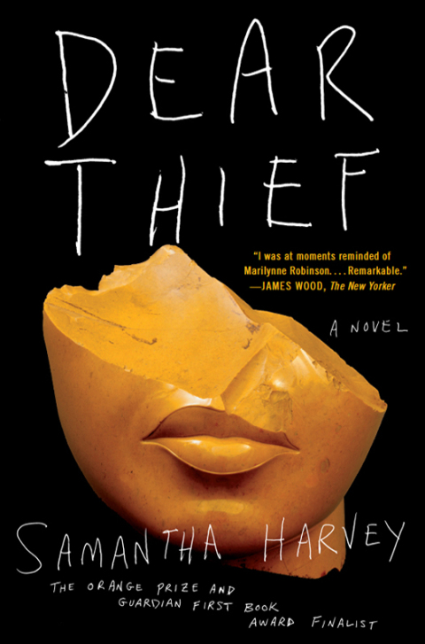 Cover image for book Dear Thief