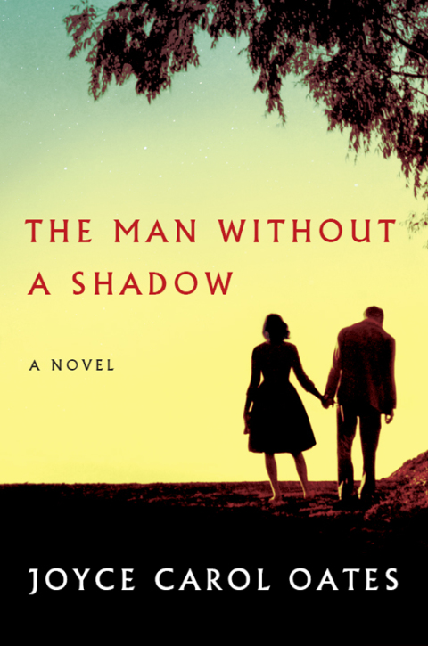 Cover image for book The Man Without a Shadow
