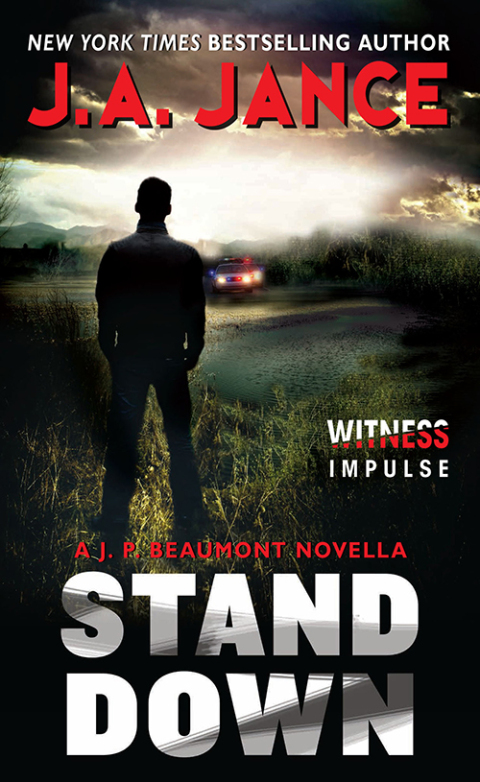Cover image for book Stand Down